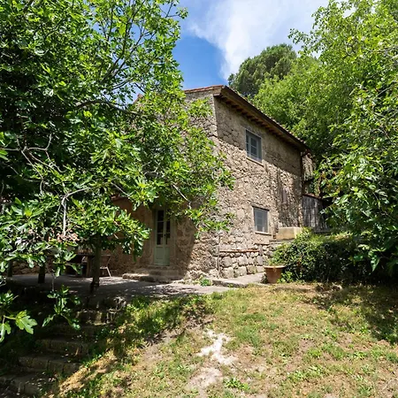 Podere Tepolino Feriehus Castel del Piano (Tuscany)